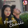 About Pagal Chhili Song